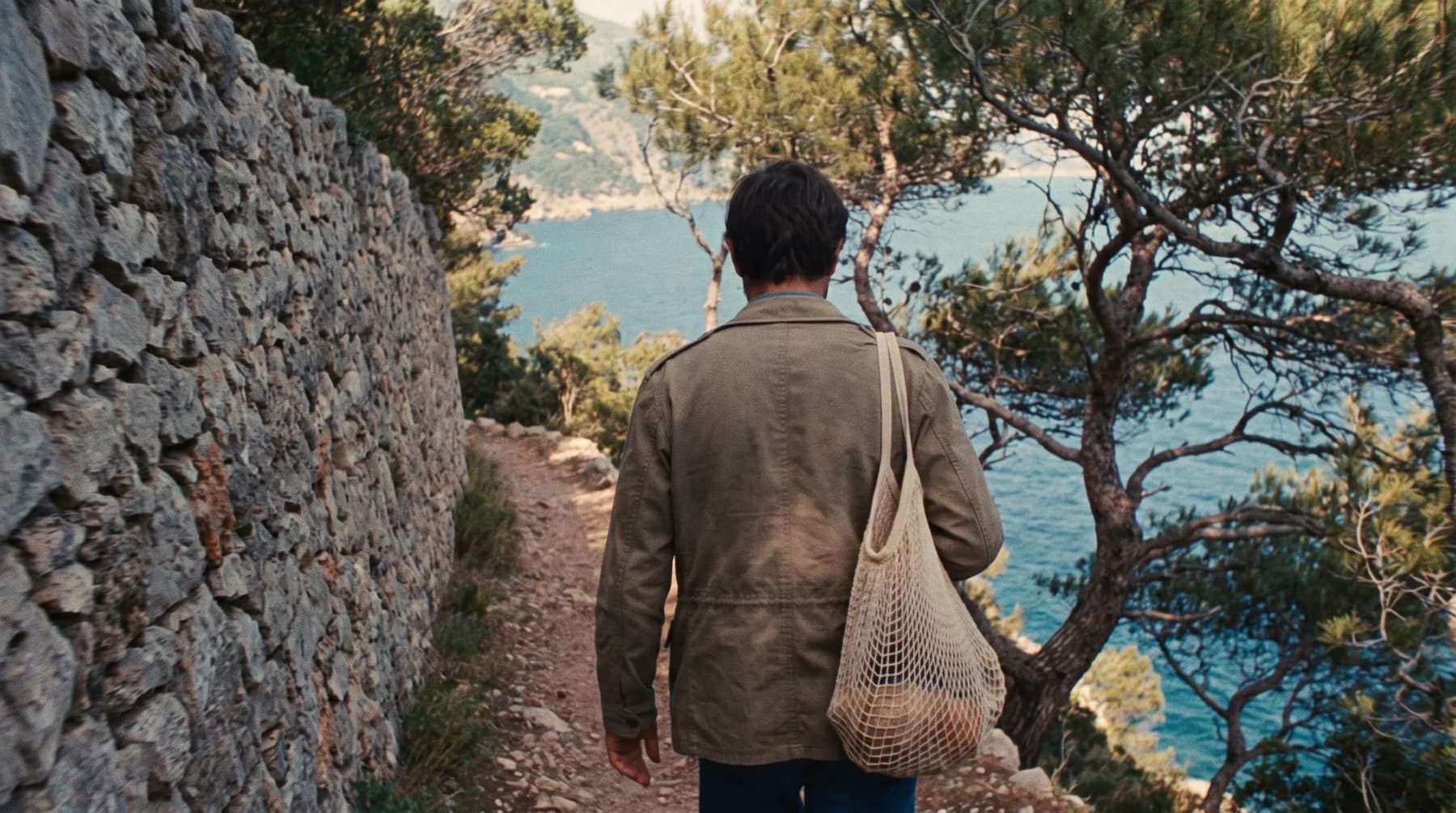 The cliff path, narrow between a stone wall and pines, sea far below through the trees