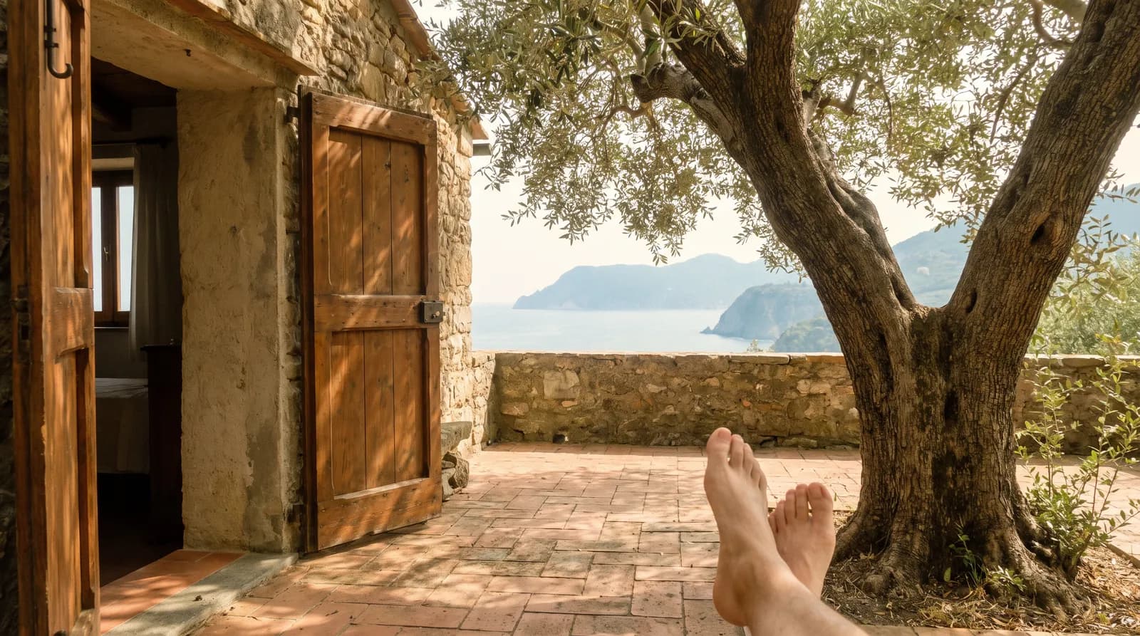 An open door onto the olive terrace, gnarled olive trunk, dappled shade on terracotta tiles